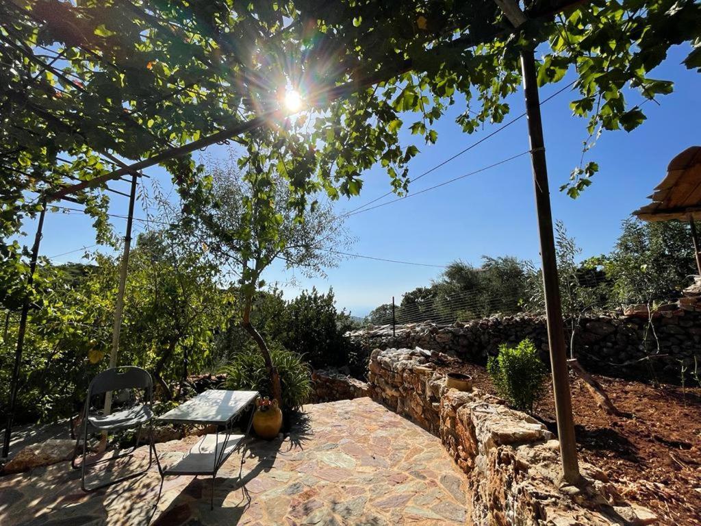 Find Your Peace In A Traditional Country House!! Apartment Lagia