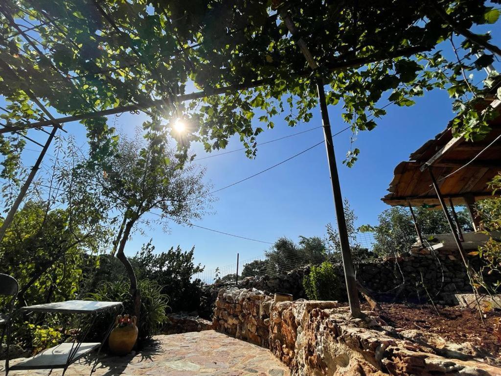Find Your Peace In A Traditional Country House!! Apartment *
