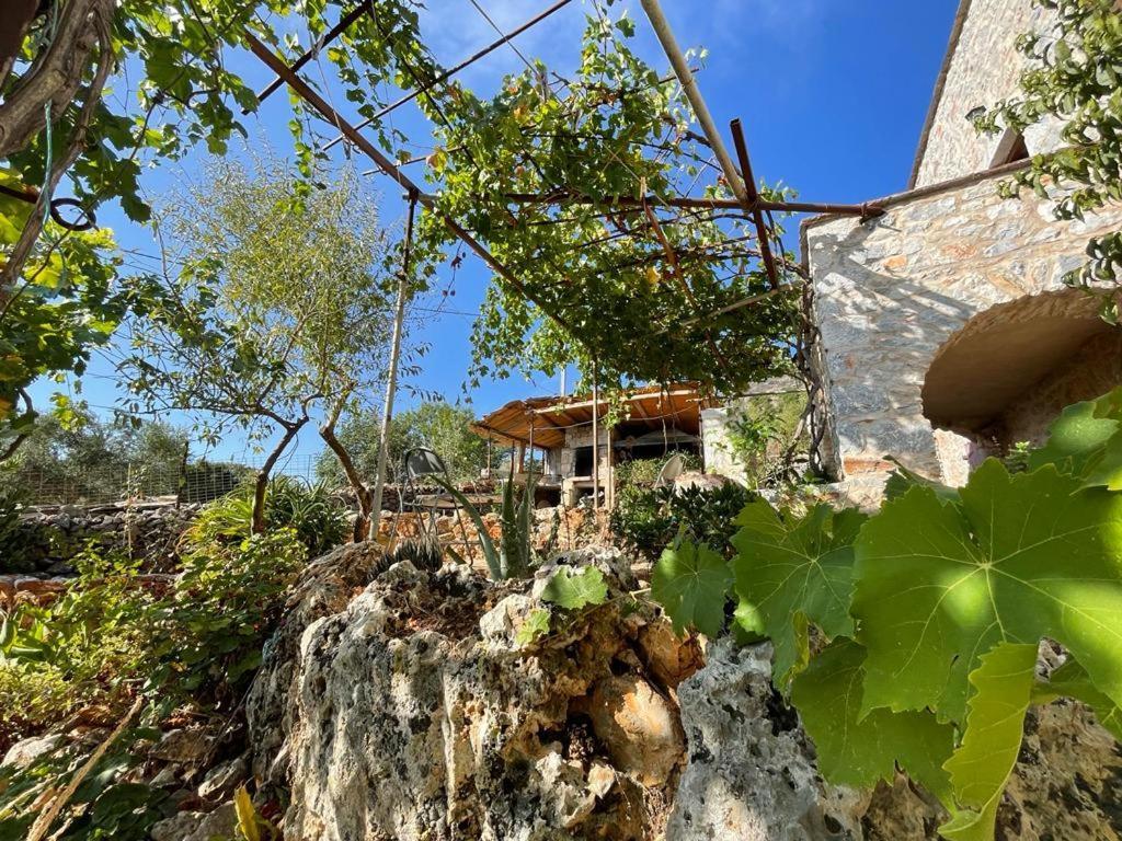Apartment Find Your Peace In A Traditional Country House!!