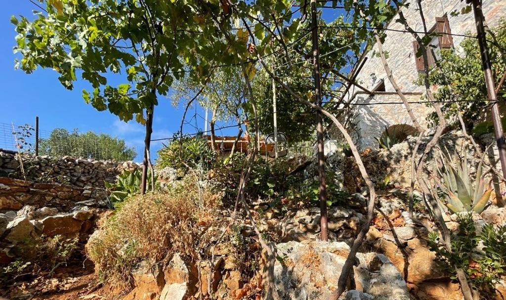 Find Your Peace In A Traditional Country House!! * Lagia