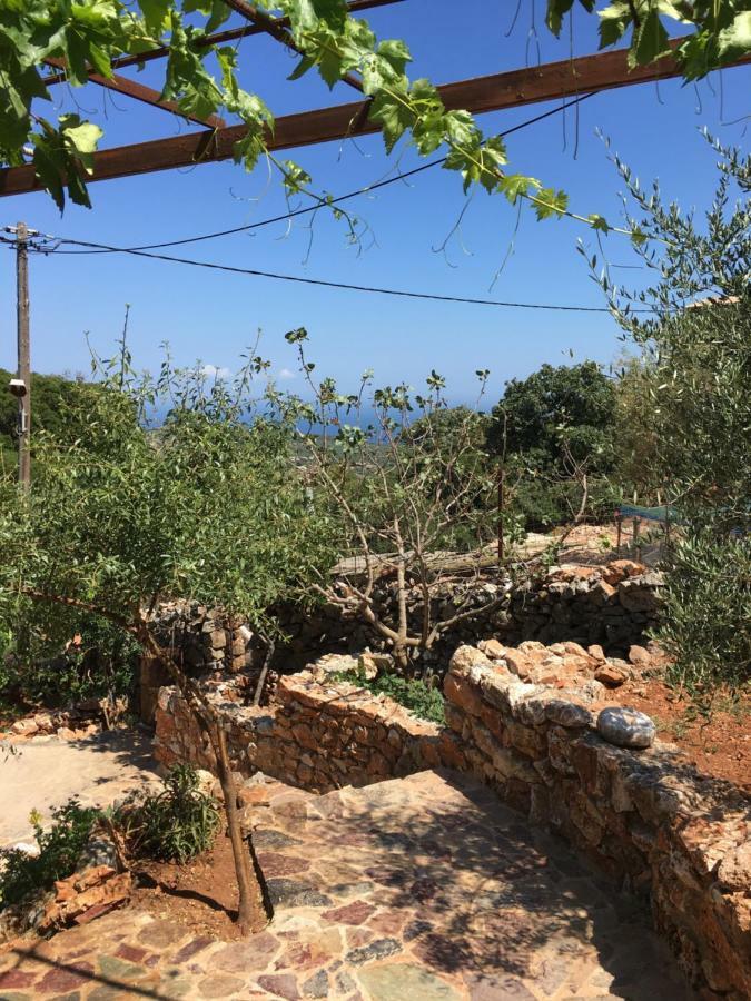 Apartment Find Your Peace In A Traditional Country House!! Lagia